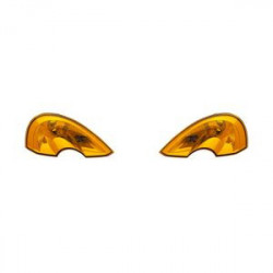 2 CLIGNOTANTS RENAULT MODUS...
