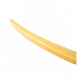 AILERON COFFRE X4 F26...